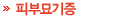 피부묘기증