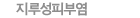 지루성피부염
